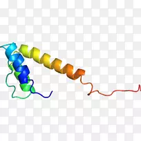 线点剪贴画-线-空若网 线点剪贴画-线-空若网