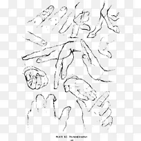 �ֻ�����-������