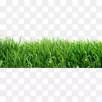 剪贴画-草场剪贴画-空若网 剪贴画-草场剪贴画-空若网