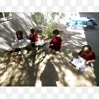 �����ܽ����ȸ�����-������