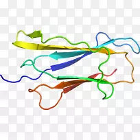 线点生物剪贴画线-空若网 线点生物剪贴画线-空若网