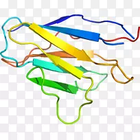 �ߵ������-��-������