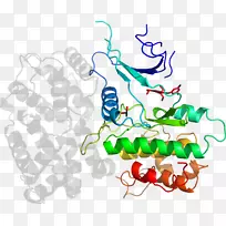 �ߵ������������-������