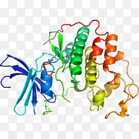 蔬菜茎线夹艺术-蔬菜-空若网 蔬菜茎线夹艺术-蔬菜-空若网