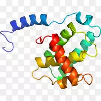 �߲�ʳƷ������ֲ�������-�߲�-������