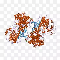 食品字体-Cyclinin-空若网 食品字体-Cyclinin-空若网