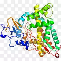 人体珠宝系列有机体剪贴画-珠宝-空若网 人体珠宝系列有机体剪贴画-珠宝-空若网