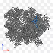 ��-��-������