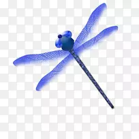 透视lijnperspectief图标-蜻蜓-空若网 透视lijnperspectief图标-蜻蜓-空若网