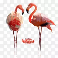 Ë®²Ê»Ãâ°æË°»æ»-¿ÕÈôÍø Ë®²Ê»Ãâ°æË°»æ»-¿ÕÈôÍø