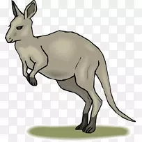 ����������ݼ�����-���������-������