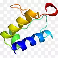 �����鱦������.���-������