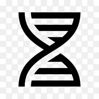 ����������ѧ-��ѧ-������