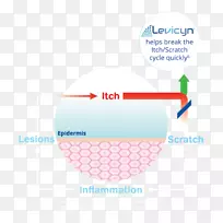 品牌材料设计-空若网 品牌材料设计-空若网