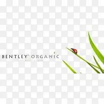 ������־Ʒ�Ʋݰ�Ӣ��-����-������