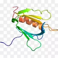 蔬菜有机体系列剪贴画-蔬菜-空若网 蔬菜有机体系列剪贴画-蔬菜-空若网