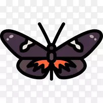 ��������ë�ʺ����ԳƼ���������-������