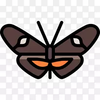 ��������ë�ʺ����ԳƼ���������-������