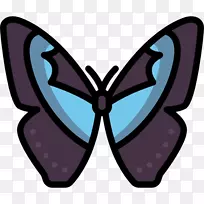 ��������ë�ʺ����ԳƼ���������-������