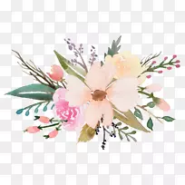 �������ˮ�ʻ�Ұ��ˮ�ʻ�-������