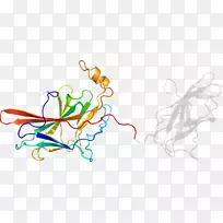 平面设计有机体剪贴画设计-空若网 平面设计有机体剪贴画设计-空若网