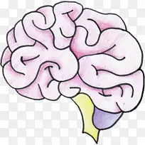 记忆训练游戏经典积木游戏大脑记忆练习android训练你的记忆-android-空若网 记忆训练游戏经典积木游戏大脑记忆练习android训练你的记忆-android-空若网