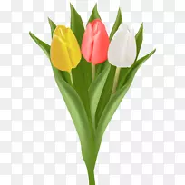郁金香花束夹艺术-郁金香-空若网 郁金香花束夹艺术-郁金香-空若网