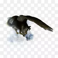 野生动物犬科尾巴-狗-空若网 野生动物犬科尾巴-狗-空若网