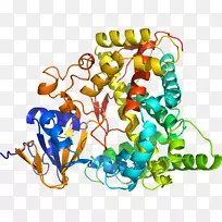 ���������鱦ϵ�м������鱦����-������