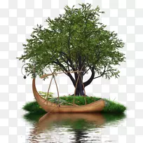 ��÷ʥ����-������