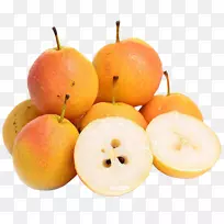 �����������xd 7��˽���������ɽ�ز��Ϲ���-������