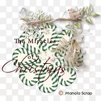 Ê¥µ®½Ú×°ÊÎËÉÊ÷·ÖÖ§¼ÒÍ¥-Ê¥µ®½Ú-¿ÕÈôÍø Ê¥µ®½Ú×°ÊÎËÉÊ÷·ÖÖ§¼ÒÍ¥-Ê¥µ®½Ú-¿ÕÈôÍø