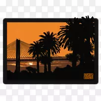 槟榔科摄影剪影树-剪影-空若网 槟榔科摄影剪影树-剪影-空若网