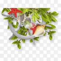 �״�������.Ҷ�κ��ݺ��Ƕ�-������