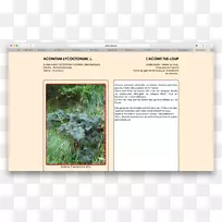 ��ľ����Ⱥ��̬�ݿ�-������