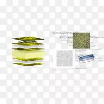 Ö±Ï߲ݽDzã¸ñʽÎļþ-¿ÕÈôÍø Ö±Ï߲ݽDzã¸ñʽÎļþ-¿ÕÈôÍø