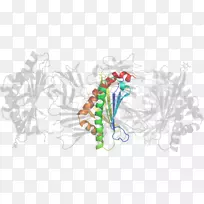 平面设计有机体设计-空若网 平面设计有机体设计-空若网