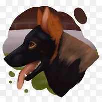 狗鼻子-狗-空若网 狗鼻子-狗-空若网