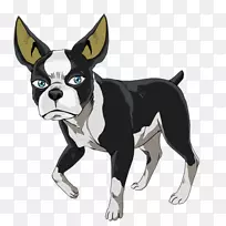 波士顿猎犬繁殖非体育团体(狗)鼻子-波士顿猎犬-空若网 波士顿猎犬繁殖非体育团体(狗)鼻子-波士顿猎犬-空若网