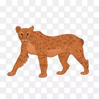 狮子大猫陆生动物美洲狮-空若网 狮子大猫陆生动物美洲狮-空若网