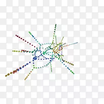 无脊椎动物线点字体线-空若网 无脊椎动物线点字体线-空若网