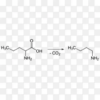 氨基酸膳食补充剂氰酸异亮氨酸结构配方-科学-空若网 氨基酸膳食补充剂氰酸异亮氨酸结构配方-科学-空若网
