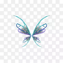 蝴蝶桌面壁纸线对称电脑蝴蝶-空若网 蝴蝶桌面壁纸线对称电脑蝴蝶-空若网