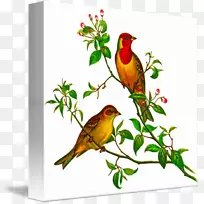 ��̰Ĵ����ǵ���ʮ����ͼ��-ֽ��-������