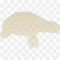 动物切割室地板-空若网 动物切割室地板-空若网