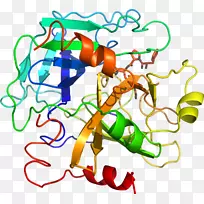 �ߵ������������-������