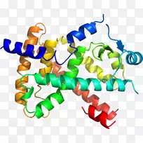 线点生物剪贴画线-空若网 线点生物剪贴画线-空若网