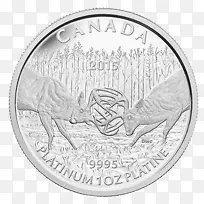 加拿大白金银币-空若网 加拿大白金银币-空若网