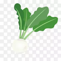 Âܲ·Ò¶Êß²Ë-¿ÕÈôÍø Âܲ·Ò¶Êß²Ë-¿ÕÈôÍø