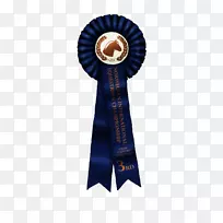 钴蓝外套领带丝带-空若网 钴蓝外套领带丝带-空若网